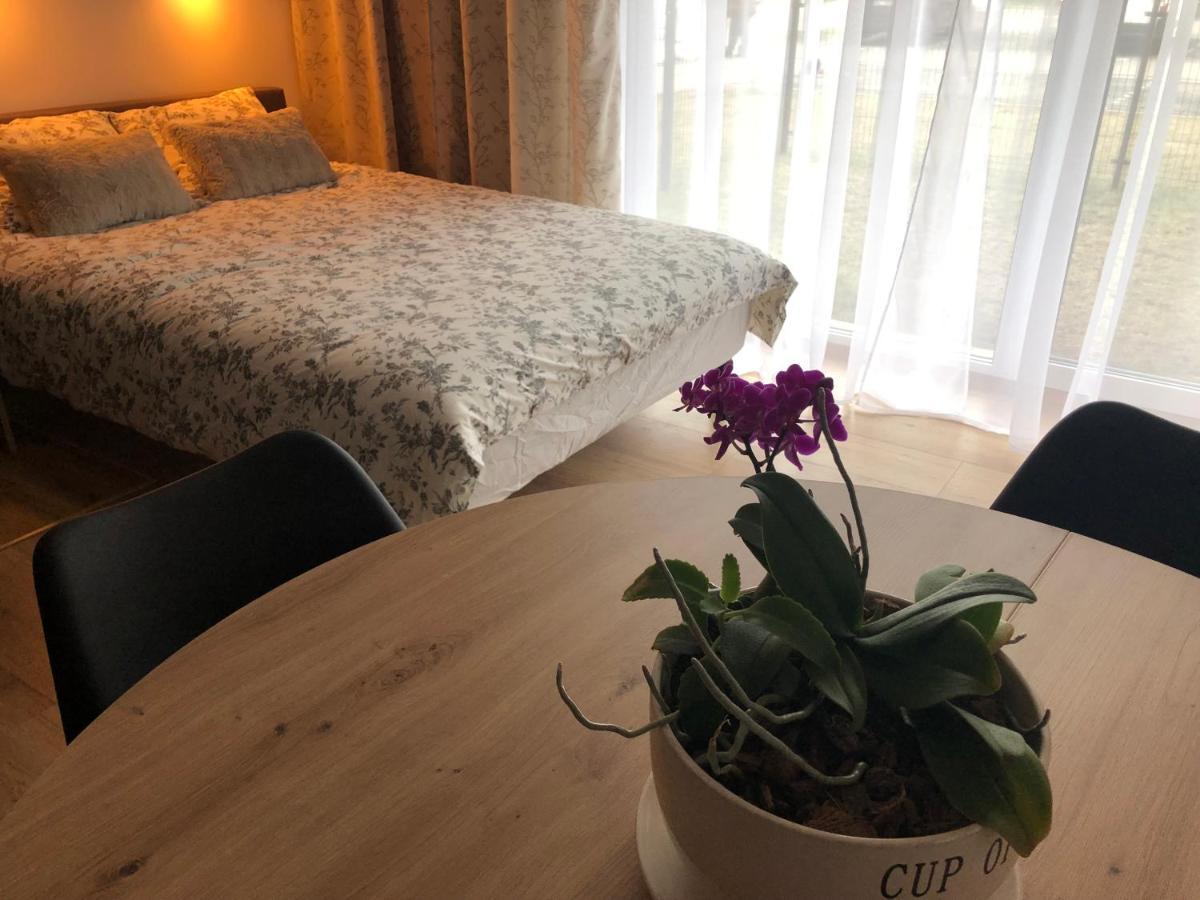 Apartament Chopina Ломянки Экстерьер фото