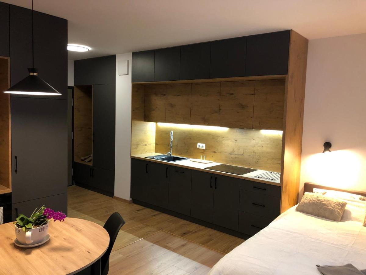 Apartament Chopina Ломянки Экстерьер фото